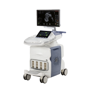 УЗИ аппарат GE Healthcare Voluson E10 BT 21