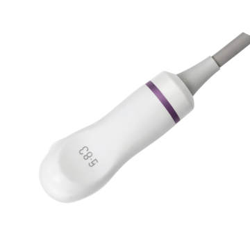 Микроконвексный внутриполостной датчик УЗИ Siemens C8-5