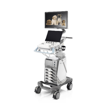 УЗИ аппарат SonoScape ProPet 60